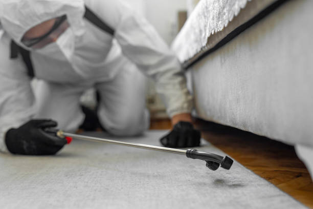 Professional Wasp Control technician working in University Heights, IA