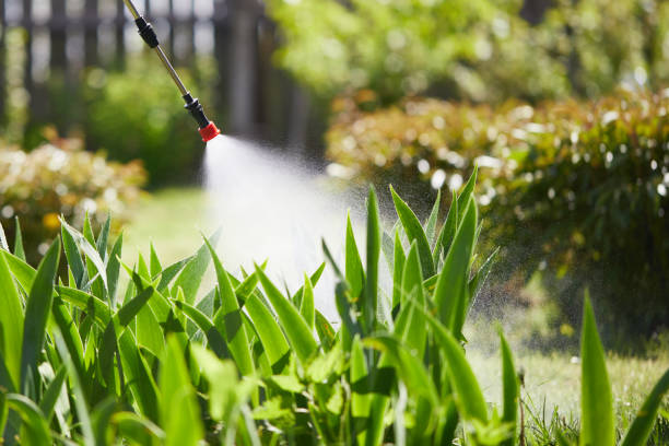 24/7 Emergency Mosquito Control experts in University Heights, IA