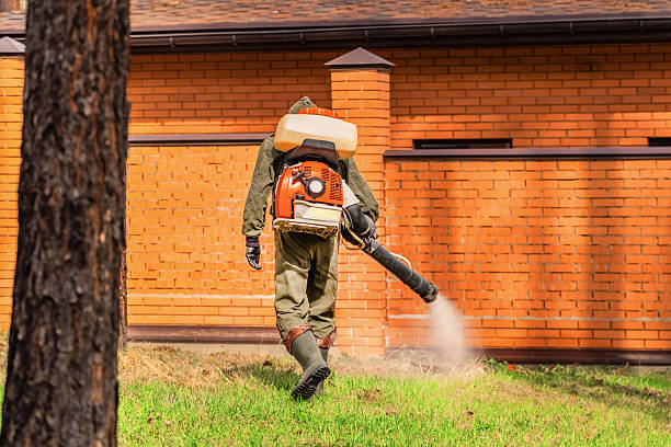 Trusted Ant Control service in University Heights, IA - Nex Pest Control